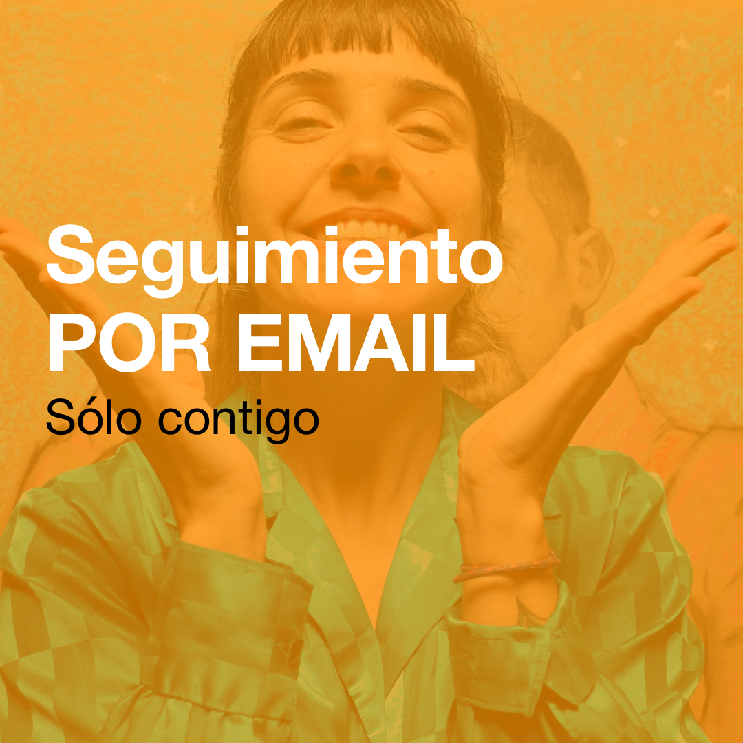 SEGUIMIENTO POR EMAIL