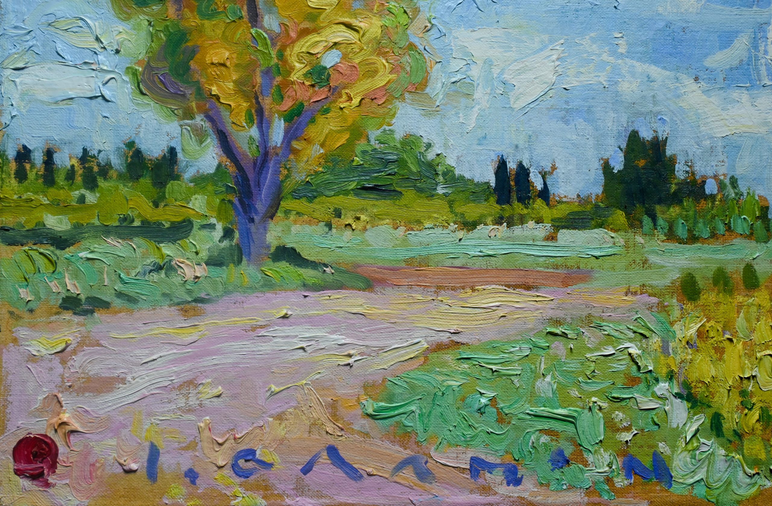 PAISAJE II - Imagen 3
